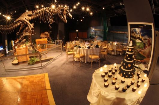 casamento nerd geek parque dos dinossauros