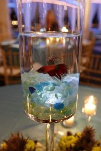 centro de mesa para casamento com aquario e peixes