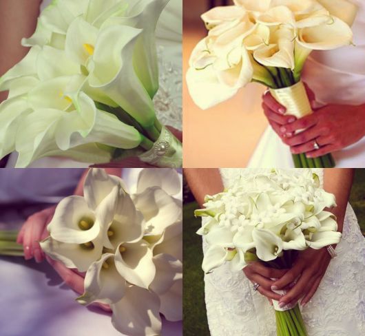 Buquê de Copos de Leite dicas