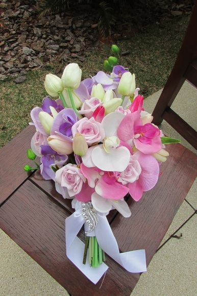 orquídeas coloridas