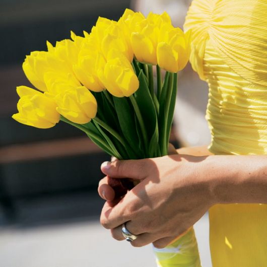 buque de tulipas amarelas 3