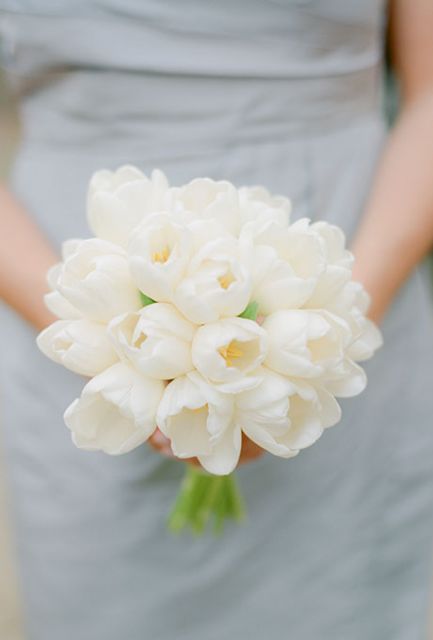 buque de tulipas brancas 2