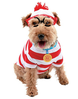 Fantasias para cachorros marinheiro