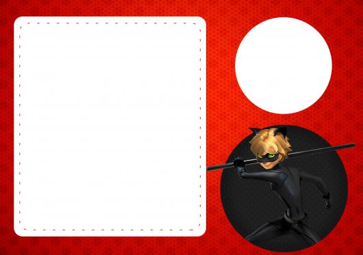 Convites Ladybug com Cat Noir para imprimir grátis