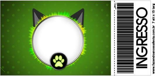 Convite Festa Ladybug e Cat Noir estilo ingresso
