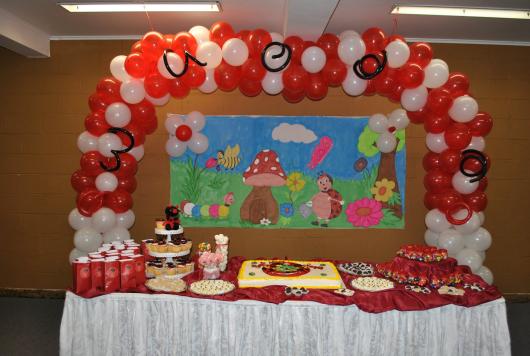 festa da joaninha simples