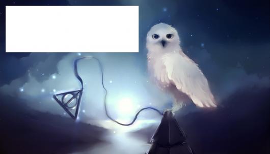 convite Harry Potter coruja pronto