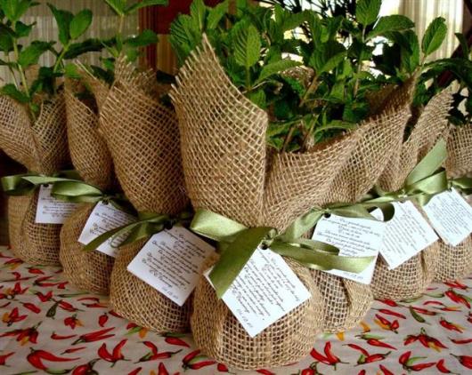 mudas para lembrancinhas de bodas de prata