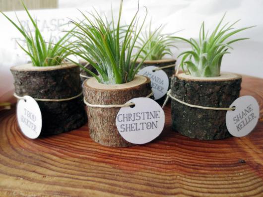 plantas para lembrancinhas de bodas de prata