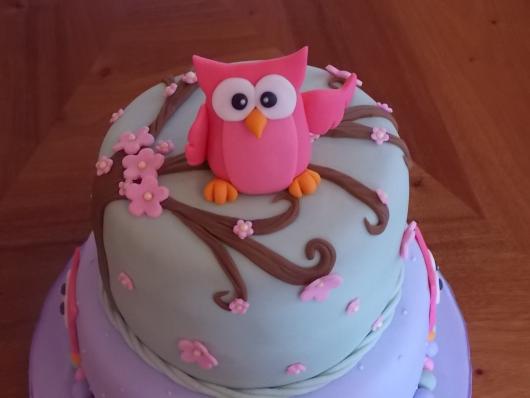 festa da corujinha bolo rosa