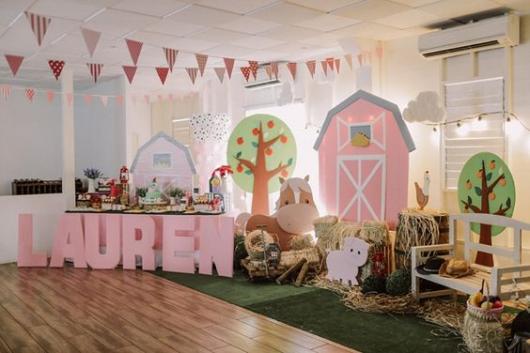 Festa fazendinha rosa decoração rústica com display