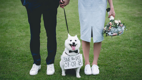 Pré-wedding com pet