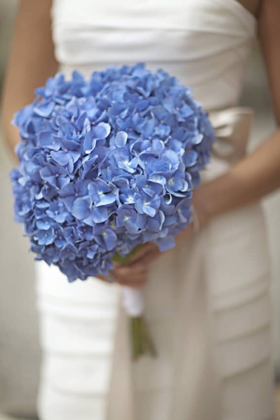 buquê azul de hortências