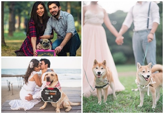 Ideias para Pré Wedding