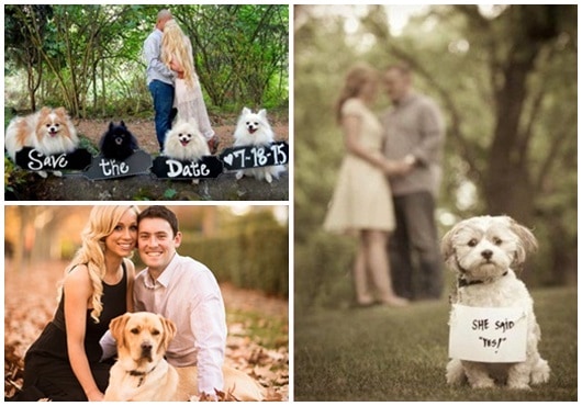 Ideias para Pré Wedding