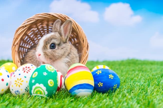 Mensagem de Páscoa para imprimir grátis ideias