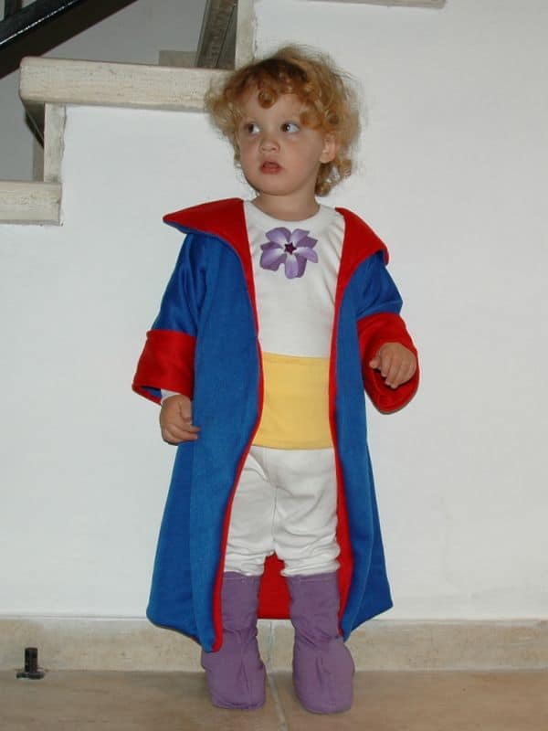 Fantasia de pequeno príncipe requintada