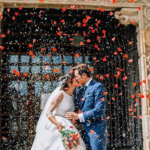 Saída dos noivos com petalas de rosa