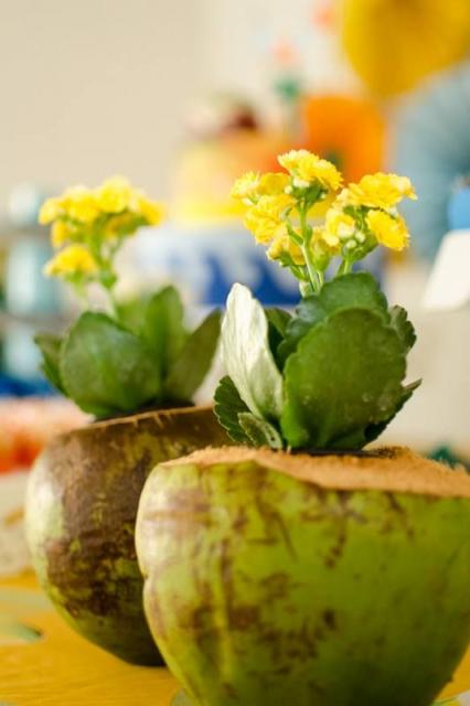 coco usado como vaso de flor em centro de mesa