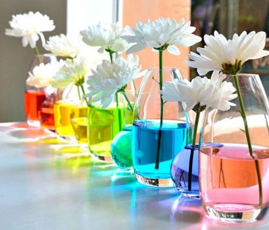 vasos de flor com água colorida
