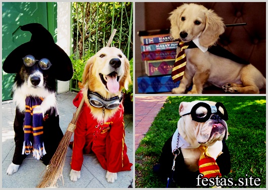 Fantasia Harry Potter modelos para Pet