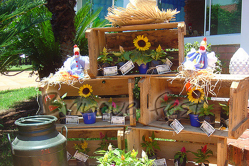 Decoração de Festa Junina Infantil com caixotes de madeira e girassóis