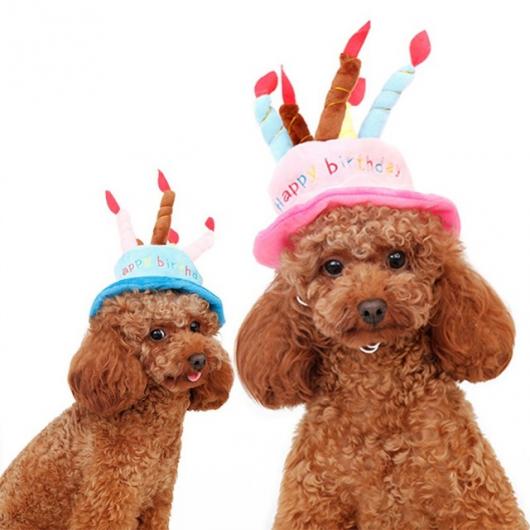 Aniversário de Cachorro chapéu com formato de bolo com velas