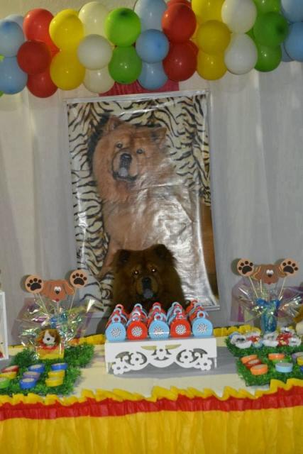 Aniversário de Cachorro decoração com painel com foto do cachorro