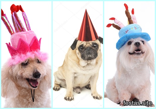 Aniversário de Cachorro chapéu inspirações