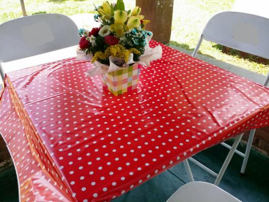 Toalha de mesa para festa de plástico vermelha com bolinhas brancas