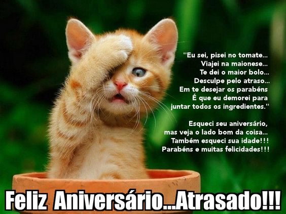 Mensagem De Aniversário Atrasado 37 Ideias Que Compensam O Atraso