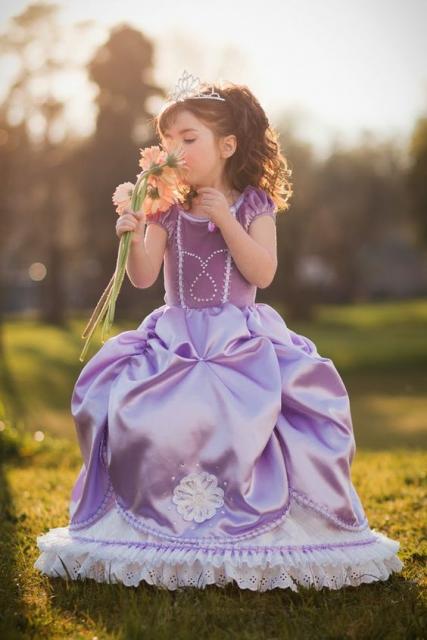 Vestido Infantil Princesa Princesinha Sofia Fantasia Princesa Sofia