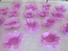 Forminhas para doces finos de papel crepom lilás