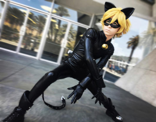 Fantasia Cat Noir - Toda Encanto