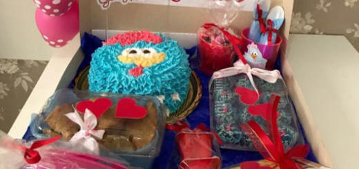 Festa na caixa infantil: Galinha Pintadinha