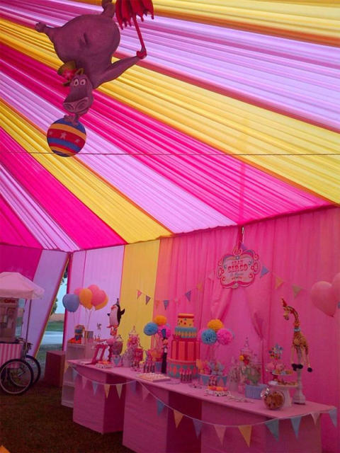 festa circo rosa vintage