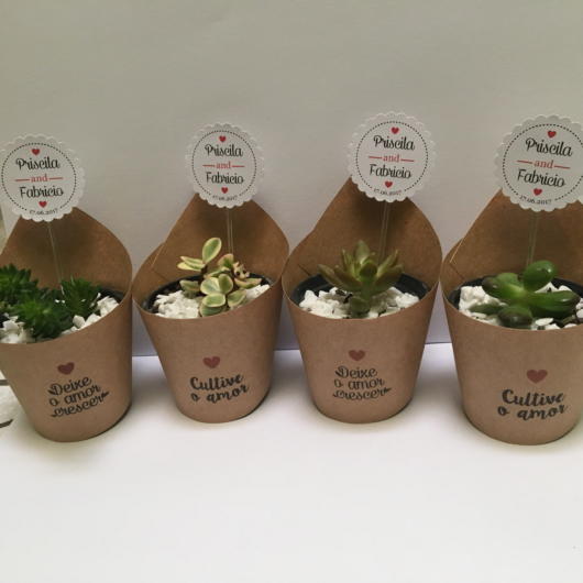 Lindos vasinhos customizados com pequenos cactos ou suculentas
