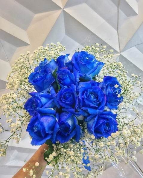 buquê de rosas azuis
