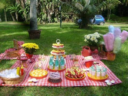 chá de fraldas picnic
