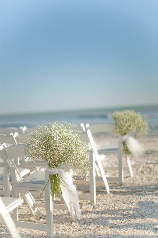 Flores mosquitinho em altar na praia