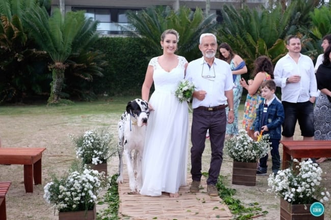 entrada de noiva com cachorro